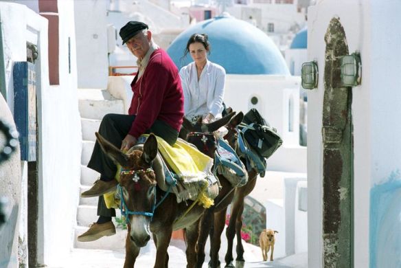 Donkeys in Santorini